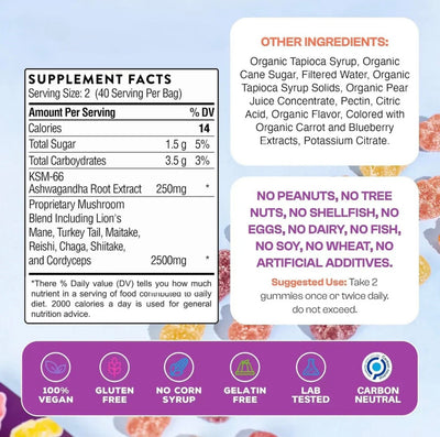 Lion's Mane Mushroom Gummies